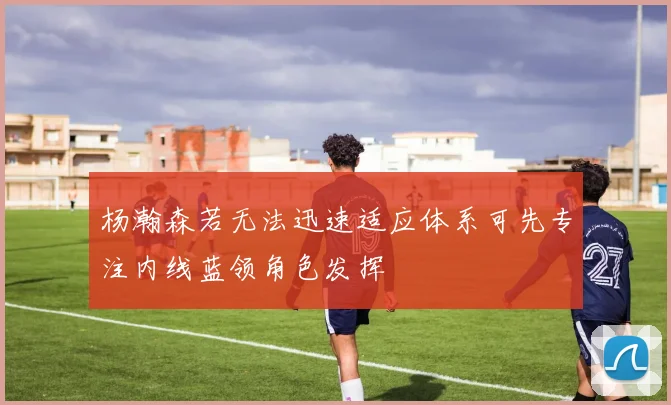 杨瀚森若无法迅速适应体系可先专注内线蓝领角色发挥