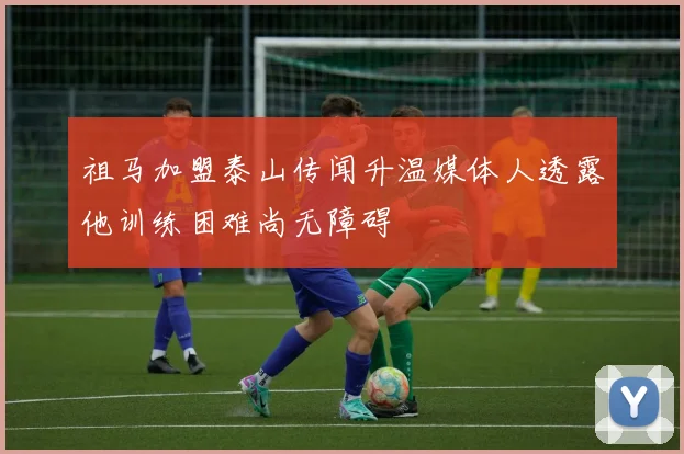 祖马加盟泰山传闻升温媒体人透露他训练困难尚无障碍